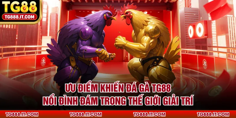 Ưu điểm khiến đá gà TG88 nổi đình đám trong thế giới giải trí